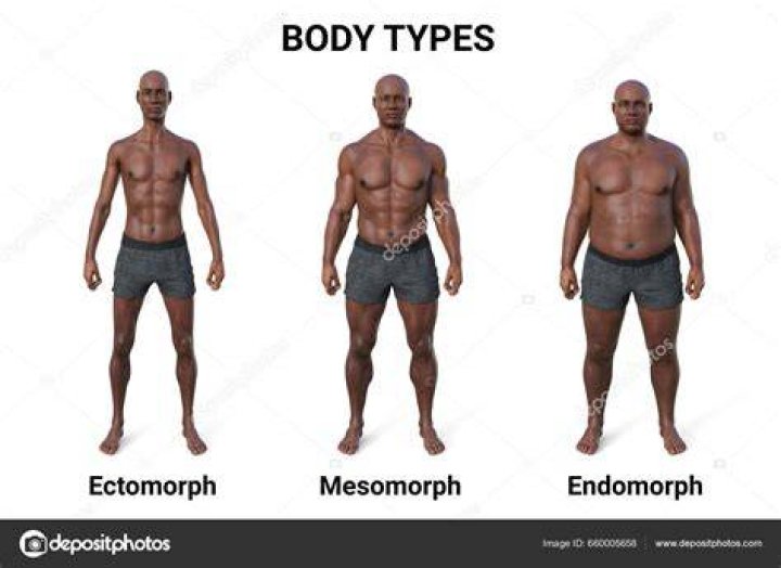 Is endomorph an adjective?