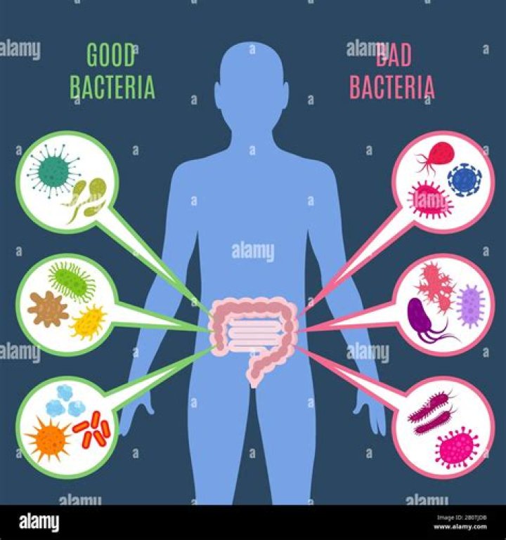 Is gut bacteria good?