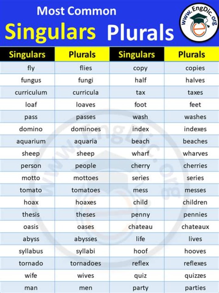 Is gymnasium plural or singular?