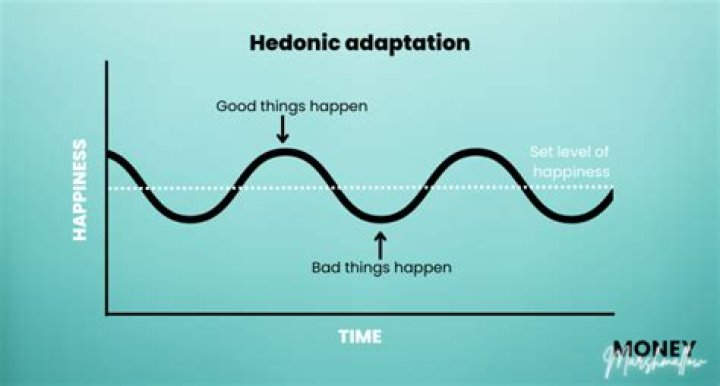 Is hedonic adaptation bad?