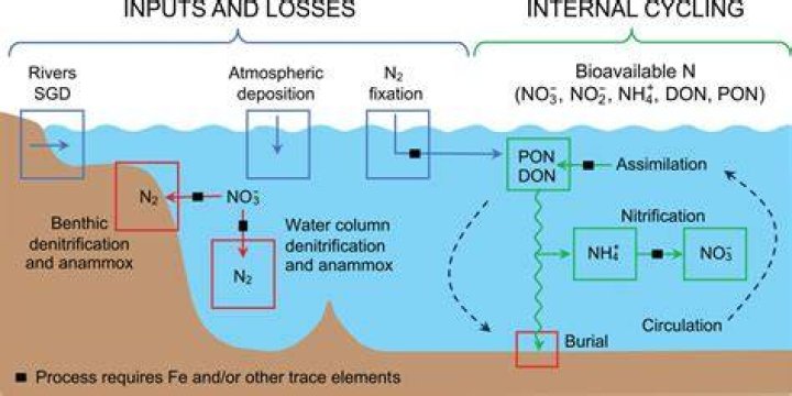 Is it nitrification or denitrification?