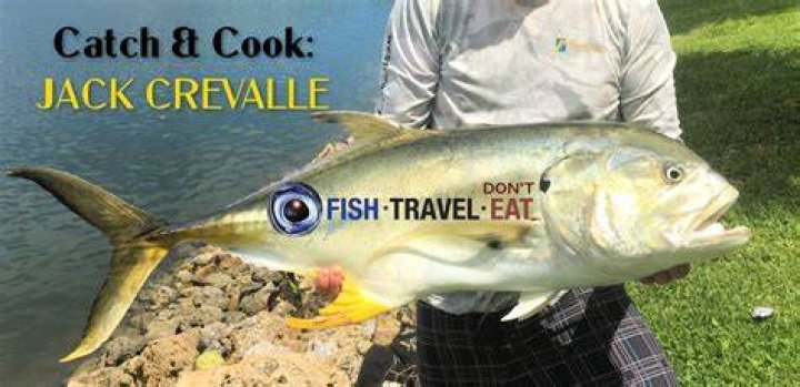 Is jack crevalle safe to eat?