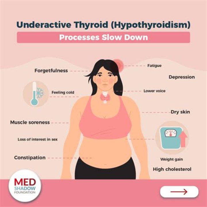 Is matcha tea good for hypothyroid?