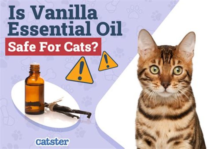 Is musk oil safe for cats?