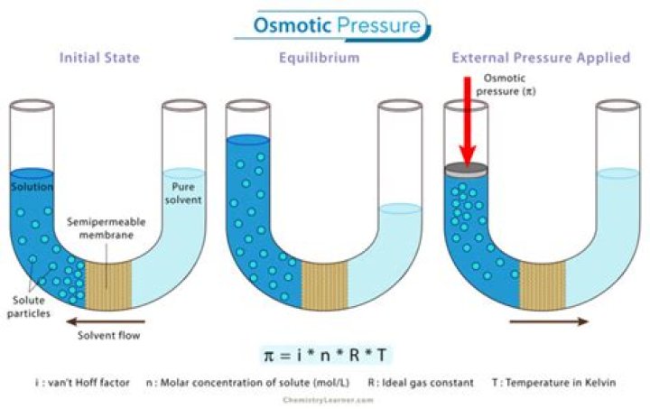 Is osmotic pressure a colligative property explain?