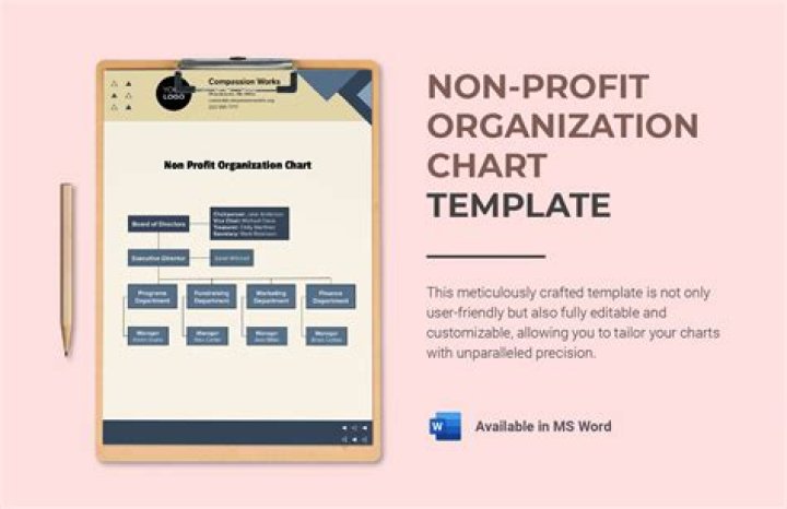 Is profit seeking organization?