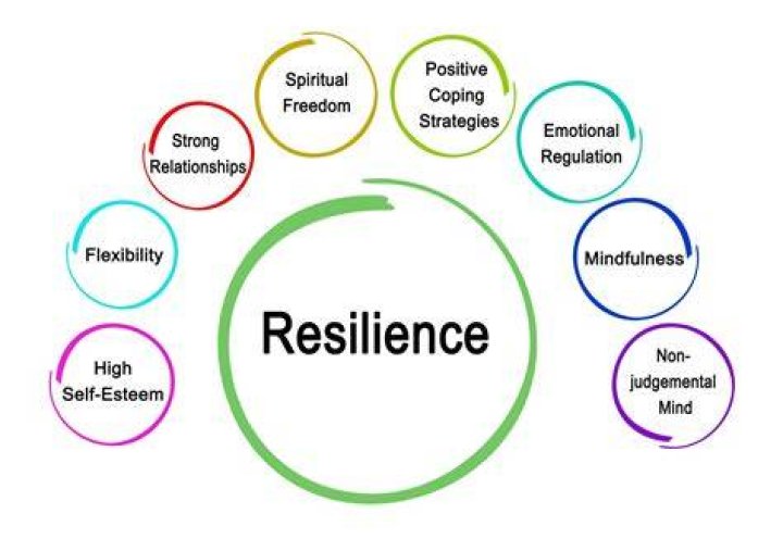 Is resilience a trait?