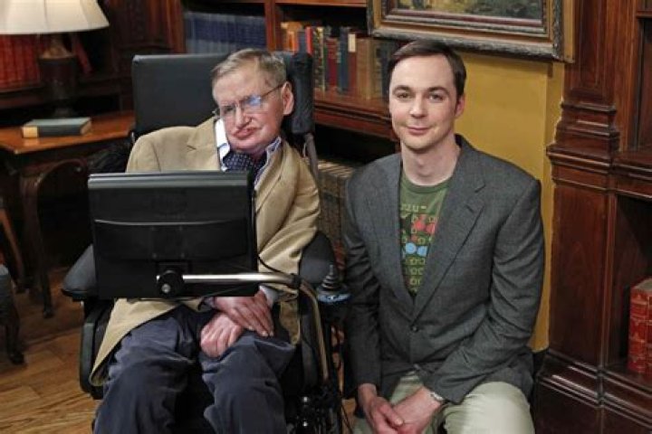 Is stephen hawking in big bang theory?