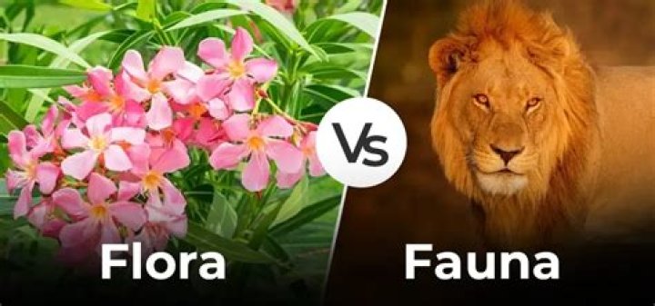 Is the difference between fauna and flora?