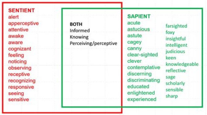Is there a word detailedness?