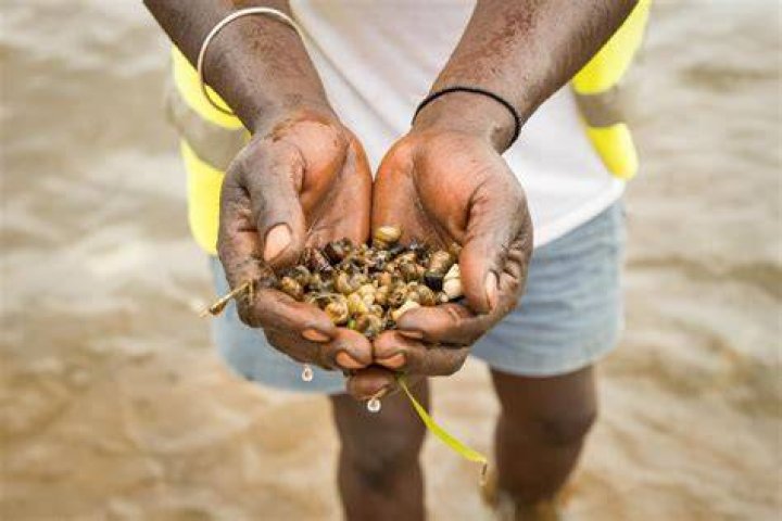 Is there bilharzia in lake malawi?