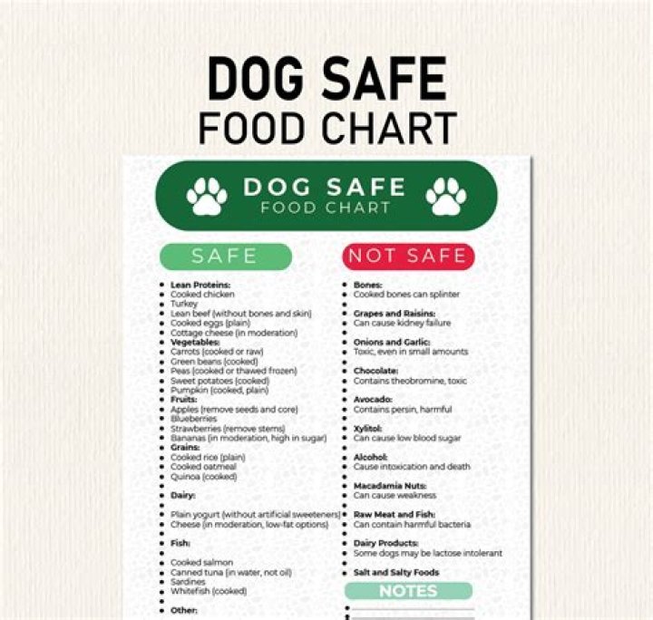 Is tranquilizers safe for dogs?