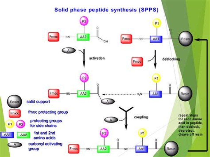 On solid phase peptide synthesis?