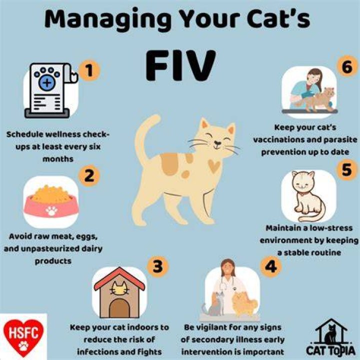 Should a feral cat with fiv be euthanized?
