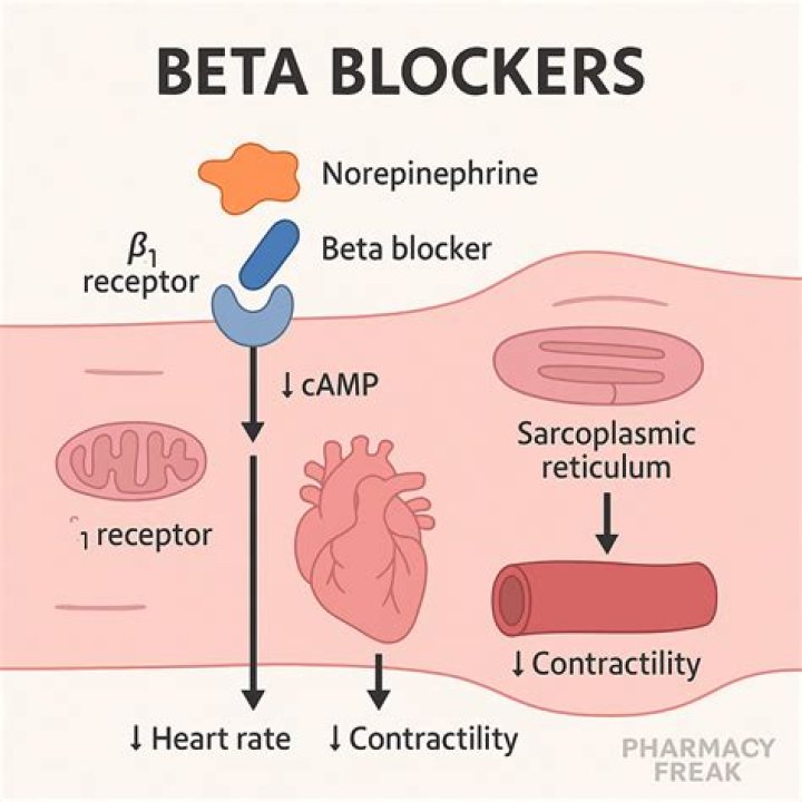 Should beta blockers be stopped before surgery?