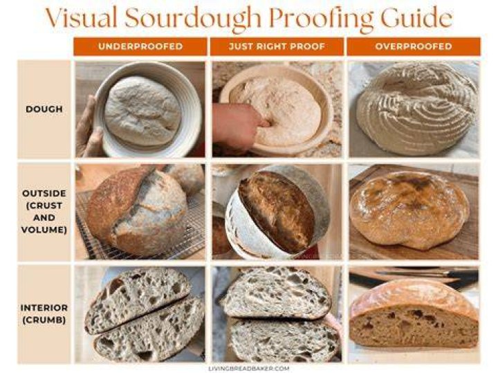 Should dough rise in the fridge?