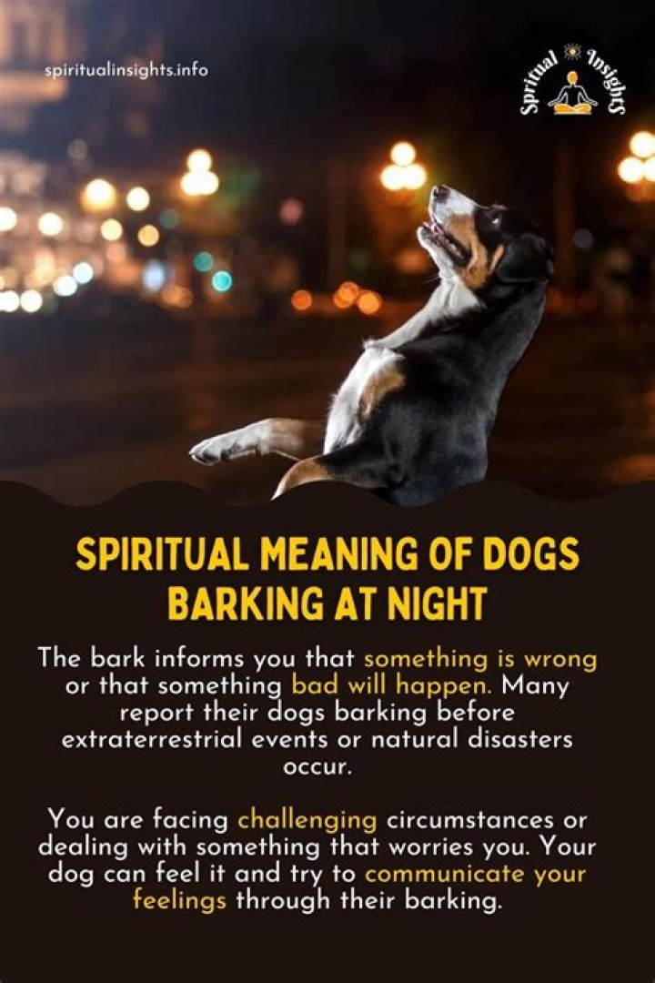Should i ignore my puppy barking at night?