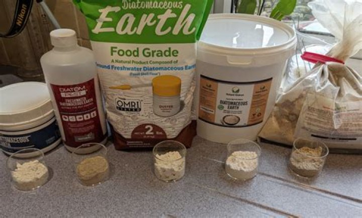 Should i take diatomaceous with food?