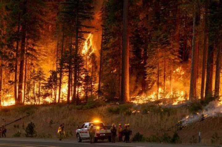 Should lake forest evacuate?
