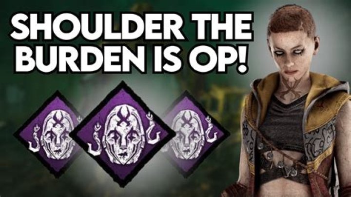 Should shoulder the burden?