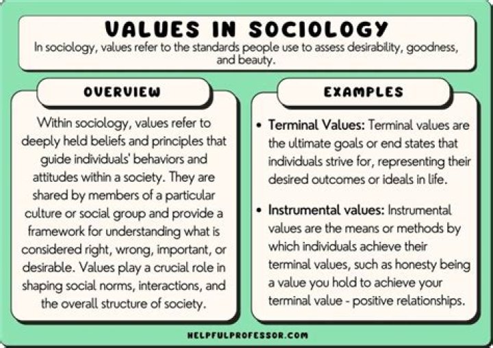 Should sociology be value free?