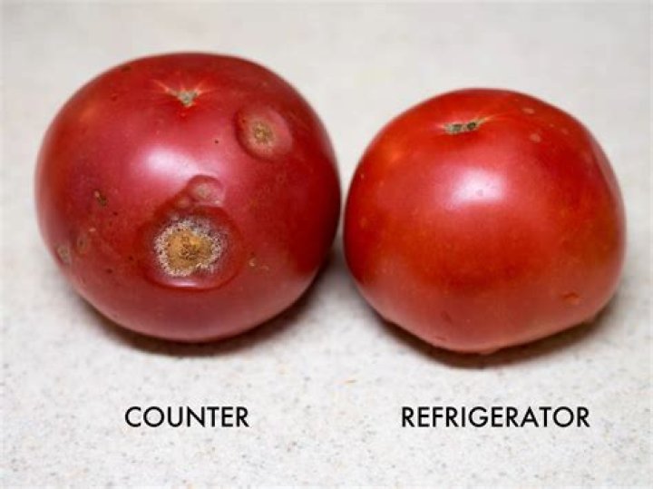 Should tomatoes be refrigerated?