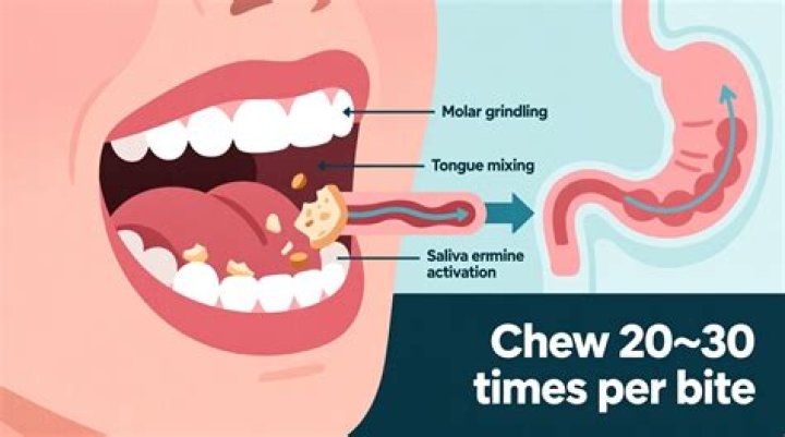 Should you chew chews?