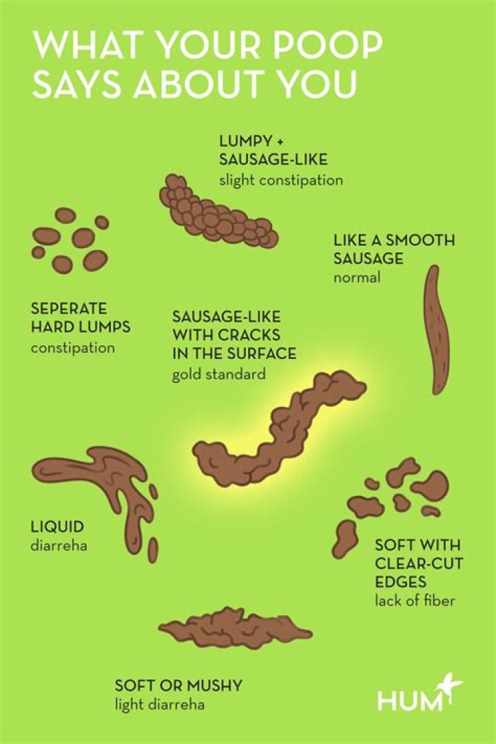 Should you poop in your rv?