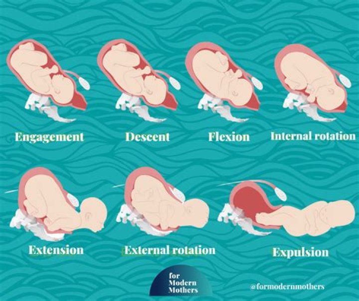 Should you toss your baby in the air?