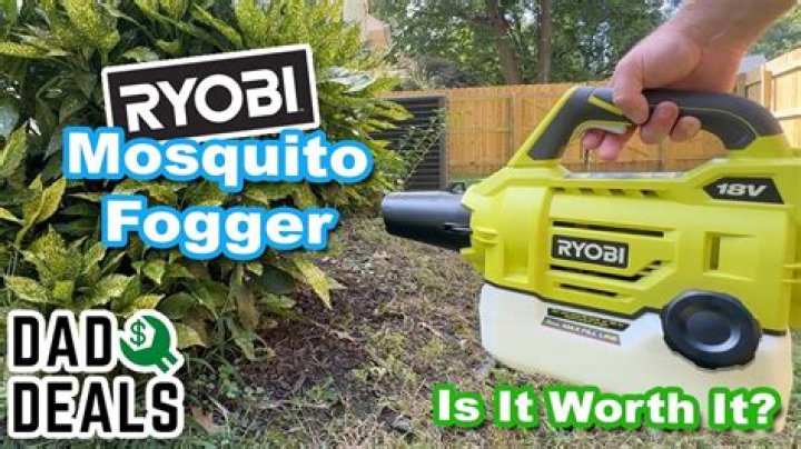 Should you vacuum after flea fogger?