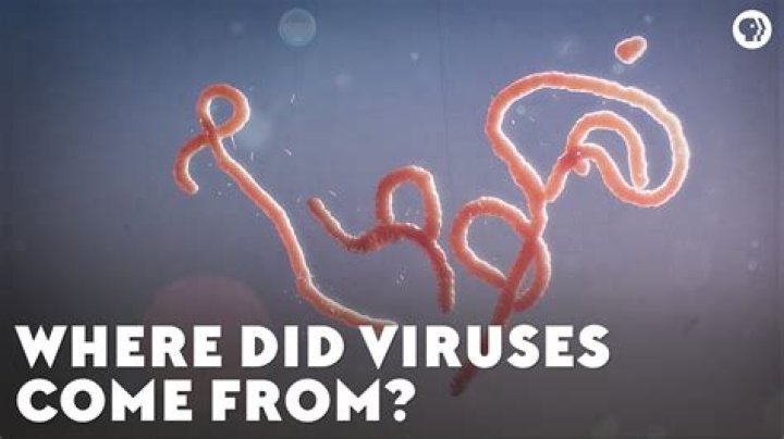 Were did viruses come from?