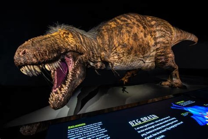 Were tyrannosaurus rex real?