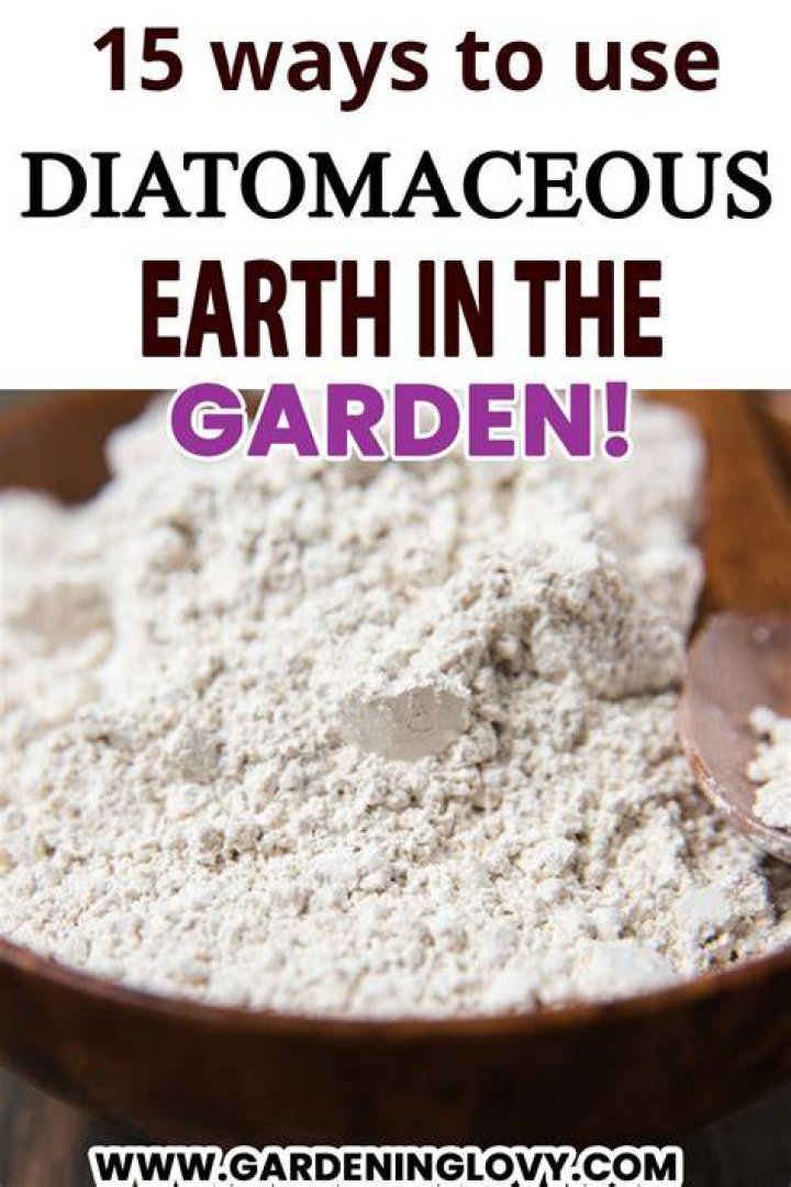 What's diatomaceous earth good for?