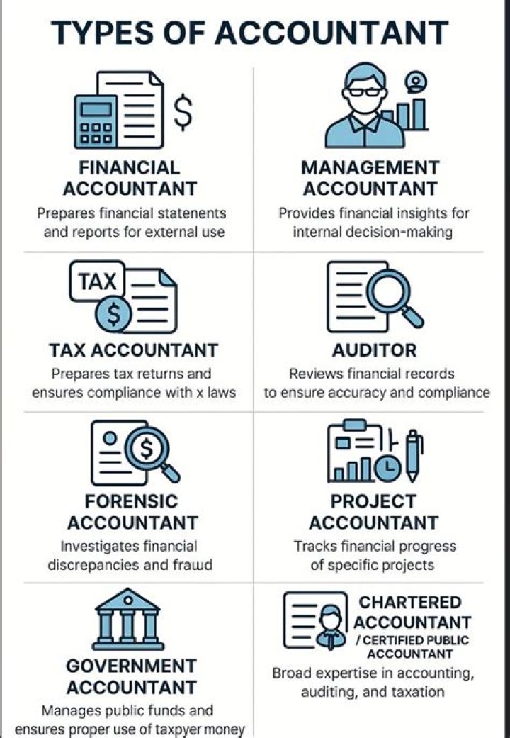 What accountants actually do?