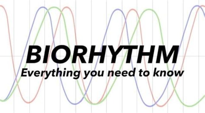 What are biorhythms used for?
