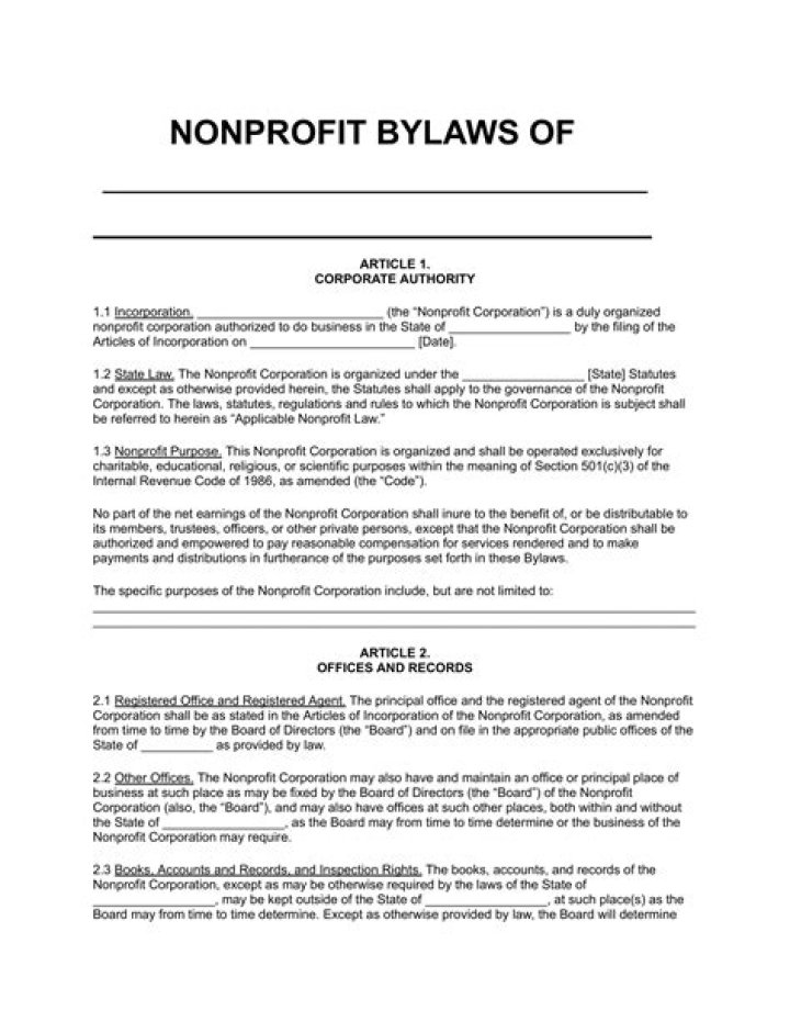 What are bylaws of a constitution?