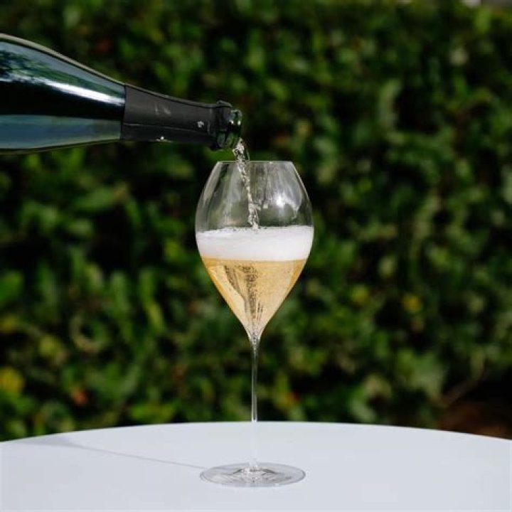 What are champagne saucers?