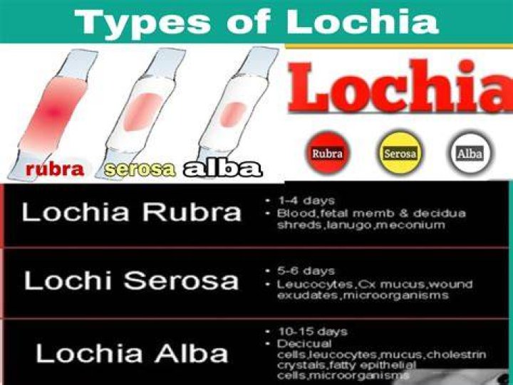 What are the 3 different types of lochia?