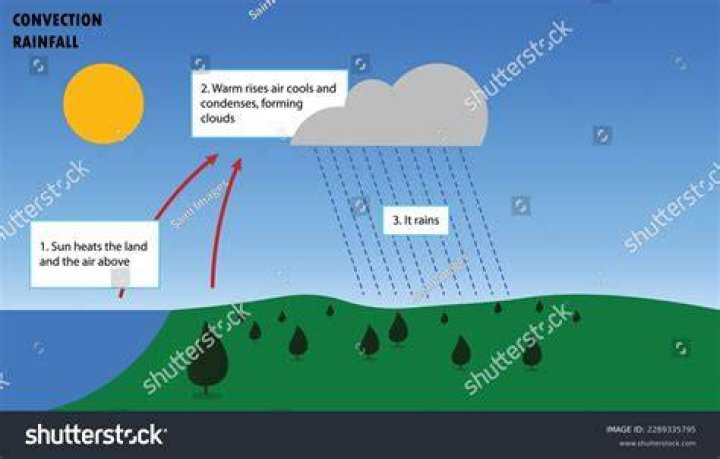 What are the characteristics of convectional rainfall?