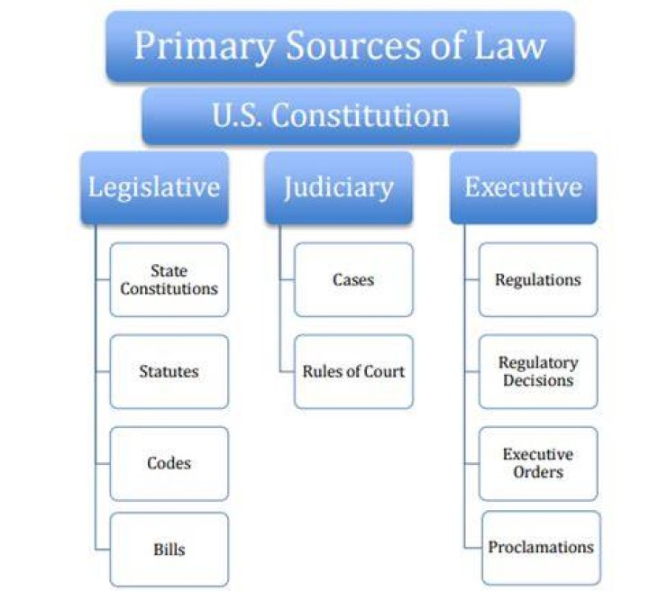 What are the three primary sources of u.s. law?