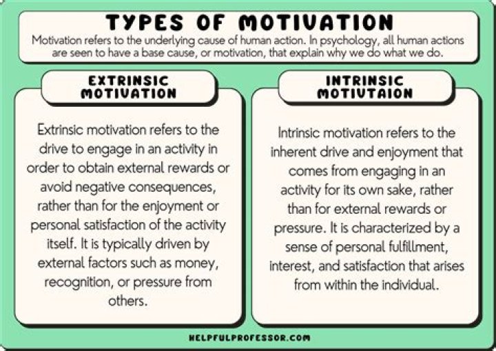 What are the types of motivation?
