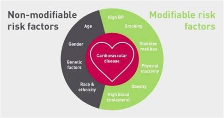 What are unmodifiable risk factors?