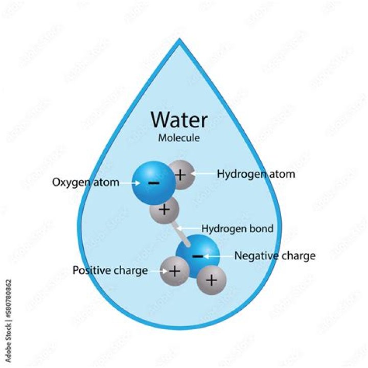 What atoms make up water?