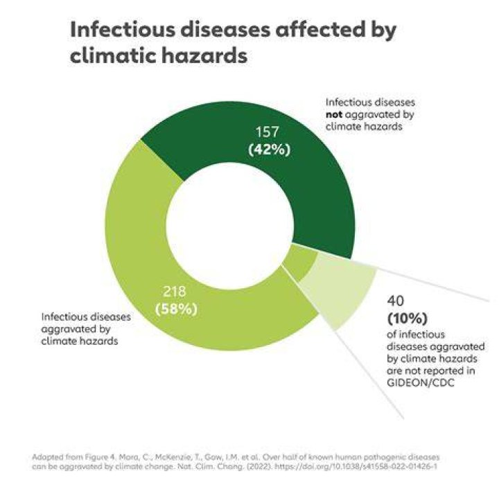 What caused the resurgence or resurgence of diseases?