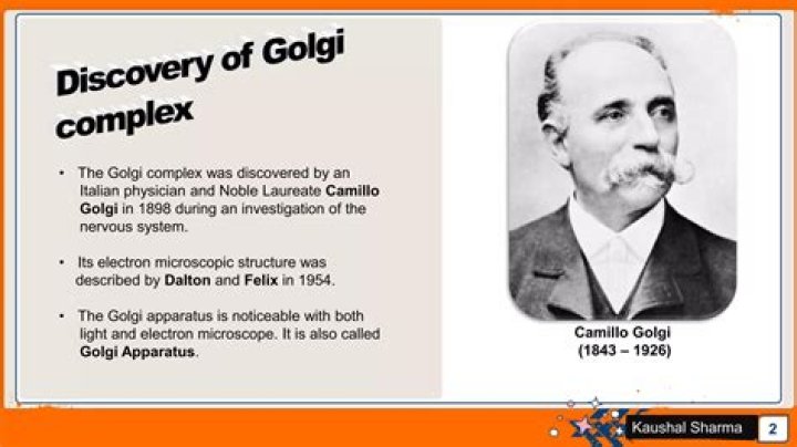 What did camillo golgi discovered?