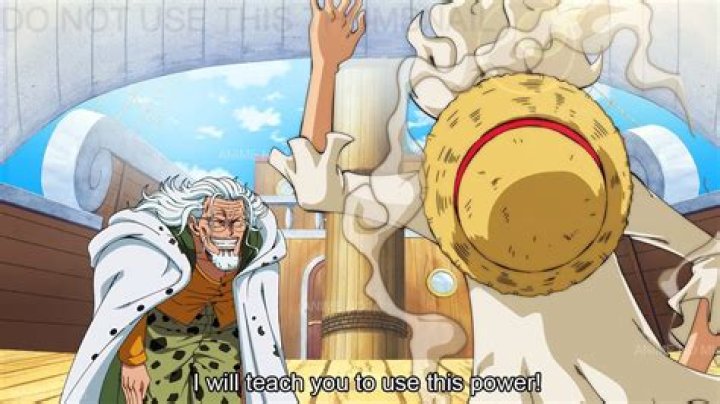 What did rayleigh suggest to luffy?