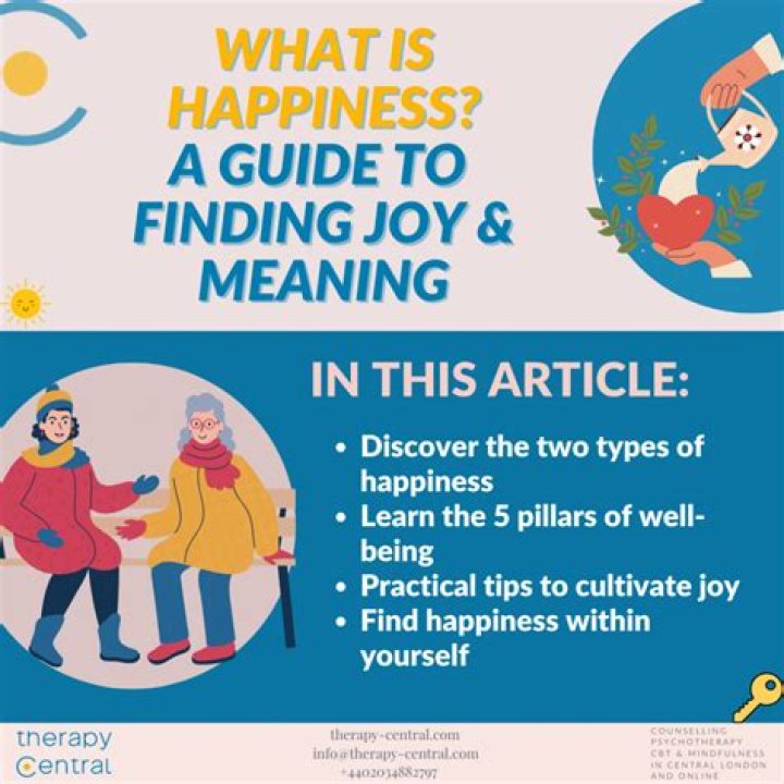 What do joyfulness meaning?