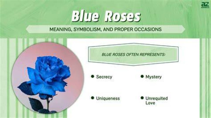 What does a blue ensign mean?