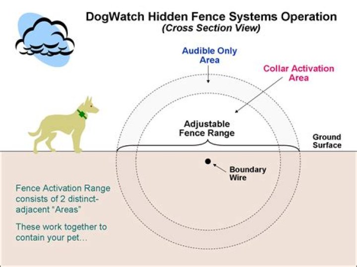 What does a dogwatch do?