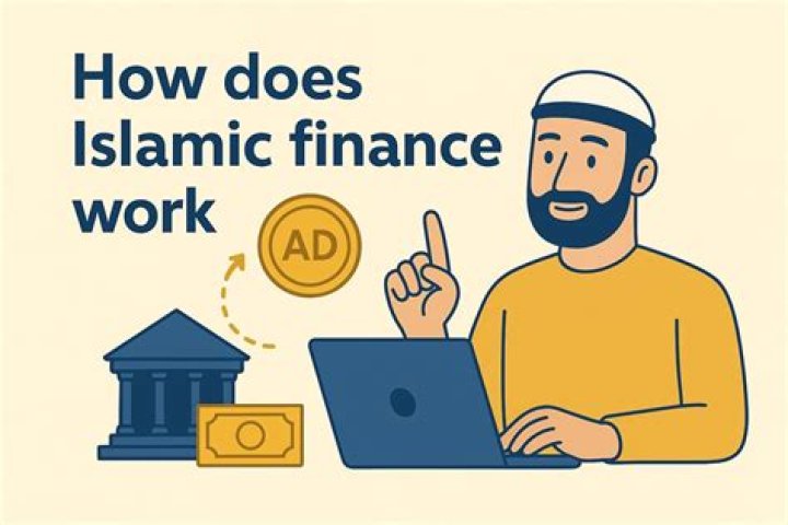 What does acima finance?